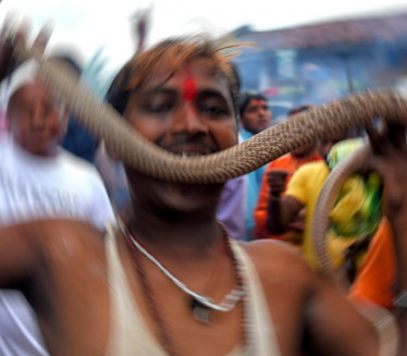 Индијца ујела змија, он јој узвратио - и то два пута! (ФОТО)