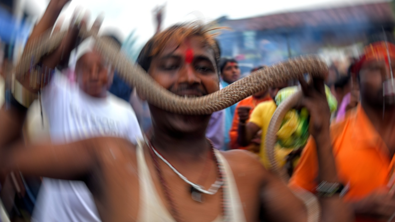 Индијца ујела змија, он јој узвратио - и то два пута! (ФОТО)