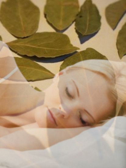 Зашто ловор треба да ставите испод јастука пре спавања