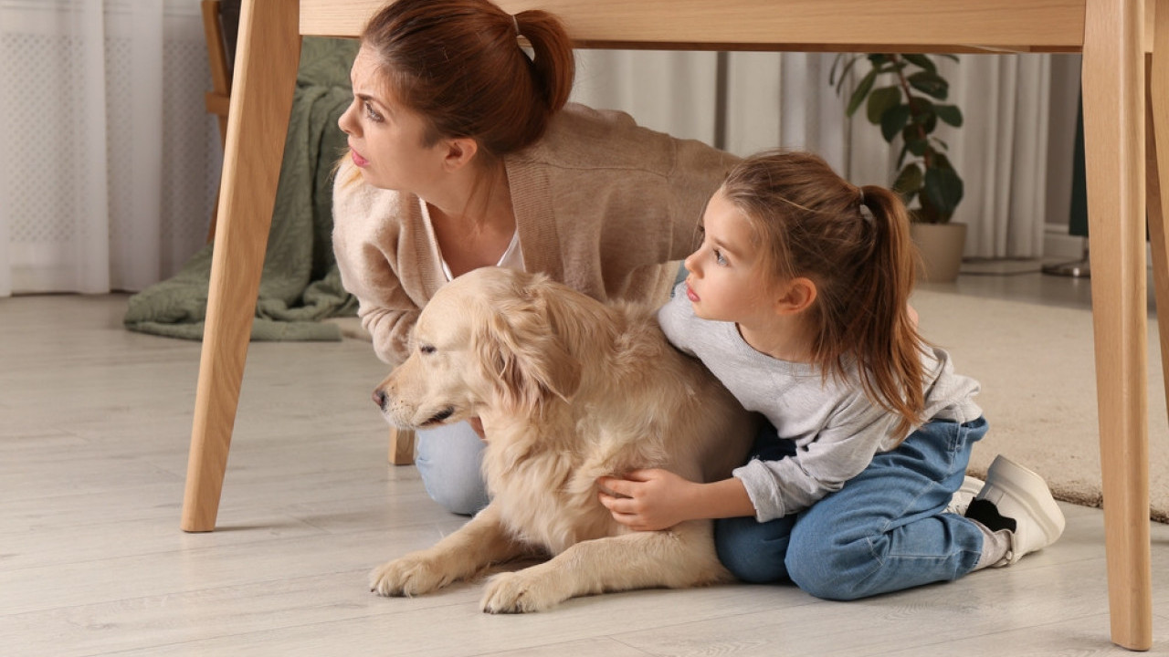 СЕРИЈА ЗЕМЉОТРЕСА:У сат времена потреси у две суседне државе