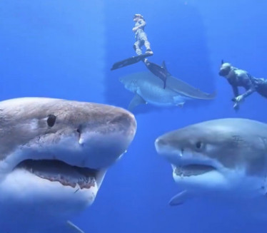 DUGAČKA PREKO 6m: Kamera snimila ogromnog morskog predatora