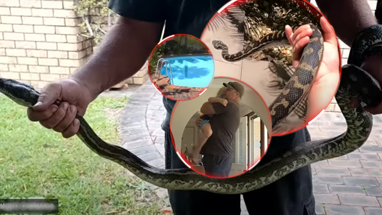 Piton zgrabio dečaka (5), ugrizao ga i odvukao u bazen