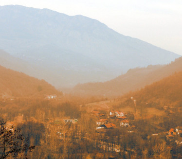 Srbiji preti PRIRODNA KATASTROFA - životinje UMIRU