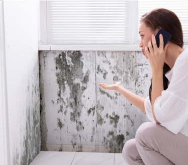 SVI TO RADIMO: Jesenje navike koje izazivaju pojavu PLESNI