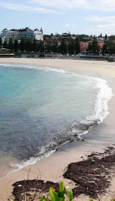Na plaži našla čudnu kutiju: Kad je shvatila šta je - UŽAS