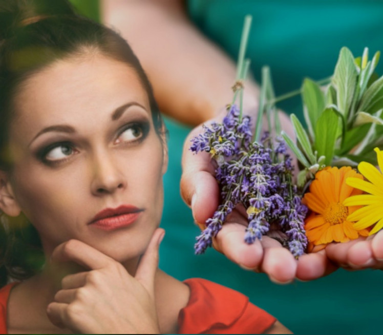 ПРИЗИВА СРЕЋУ И БЛАГОСТАЊЕ: Овај цвет треба да има сваки дом