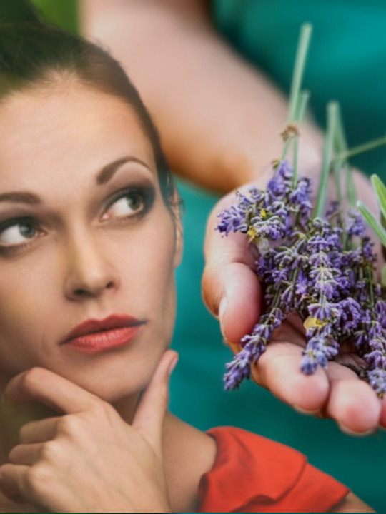 ПРИЗИВА СРЕЋУ И БЛАГОСТАЊЕ: Овај цвет треба да има сваки дом