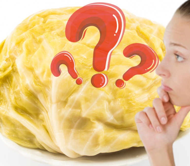 ОВАКО НЕМЦИ КИСЕЛЕ КУПУС: Стручњаци без премца