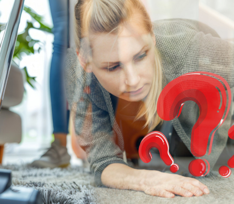 ТРИК ЗЛАТА ВРЕДАН: Како се најлакше решити прашине у кући?