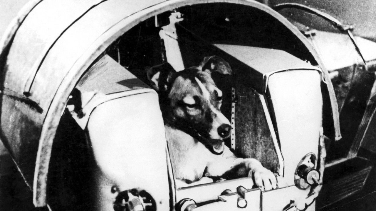 PUT BEZ POVRATKA Kako se krila tajna o Lajki! Smrt u svemiru