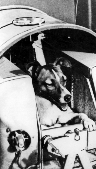 ПУТ БЕЗ ПОВРАТКА Како се крила тајна о Лајки! Смрт у свемиру