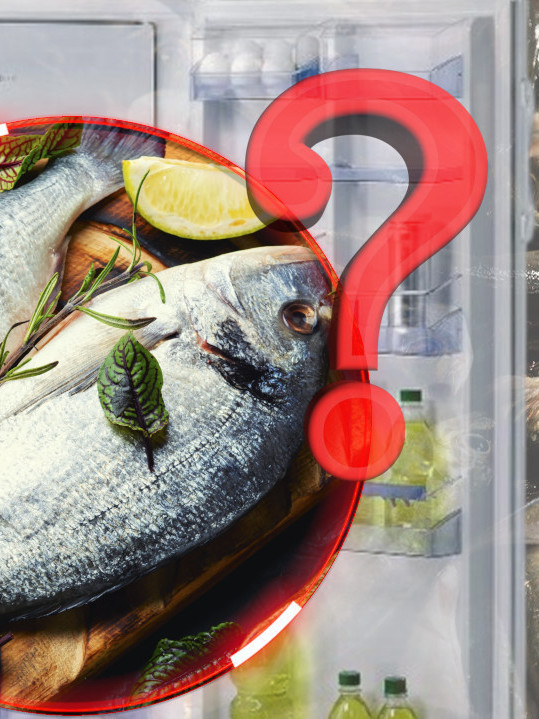 OPREZ: Evo koliko dugo riba može da stoji u frižideru