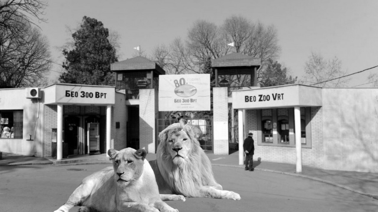 POMOR U ZOOLOŠKOM VRTU: Velika tragedija 1980. godine