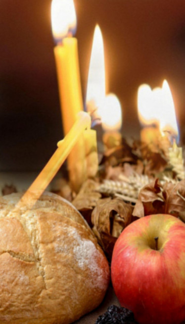 Za nas SVETINJA, a u nekim zemljama BOŽIĆ ne sme da se slavi