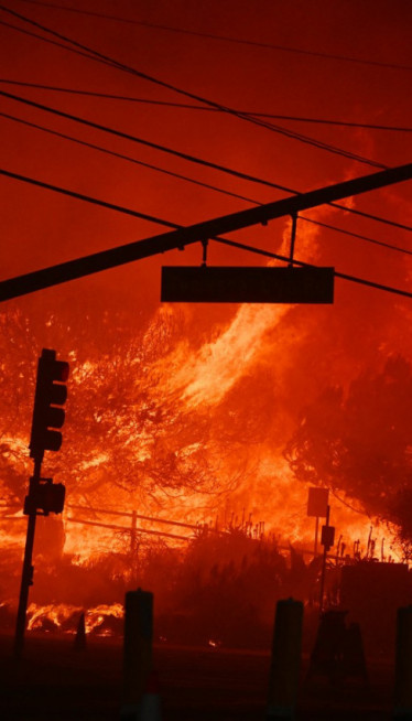 ДЕТАЉИ ПОЖАРА У СУРЧИНУ: Две бебе превезене у болницу