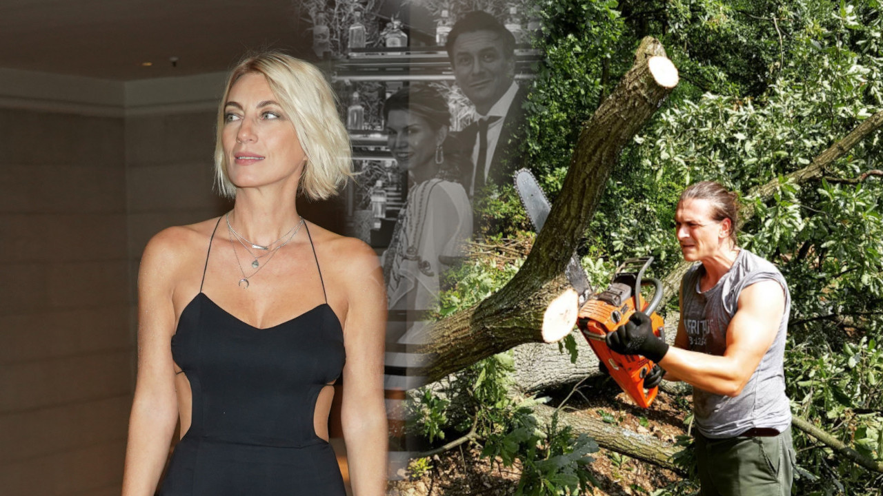 KOKE, SVINJE I HILJADE STABALA VOĆA: Glumac se vratio na selo