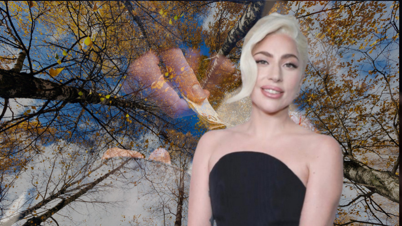 Лејди Гаги СРПКИЊА помогла да остави ДРОГУ