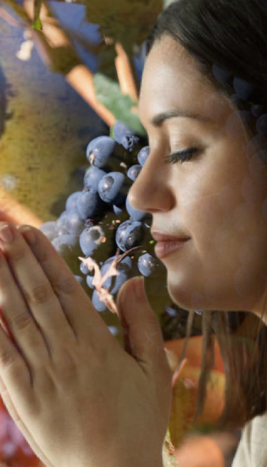 Šta znači ako na Svetog Trifuna pada kiša?