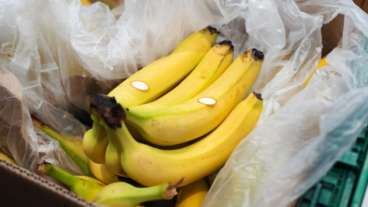 Ни случајно их НЕ КУПУЈТЕ ако видите овакве банане