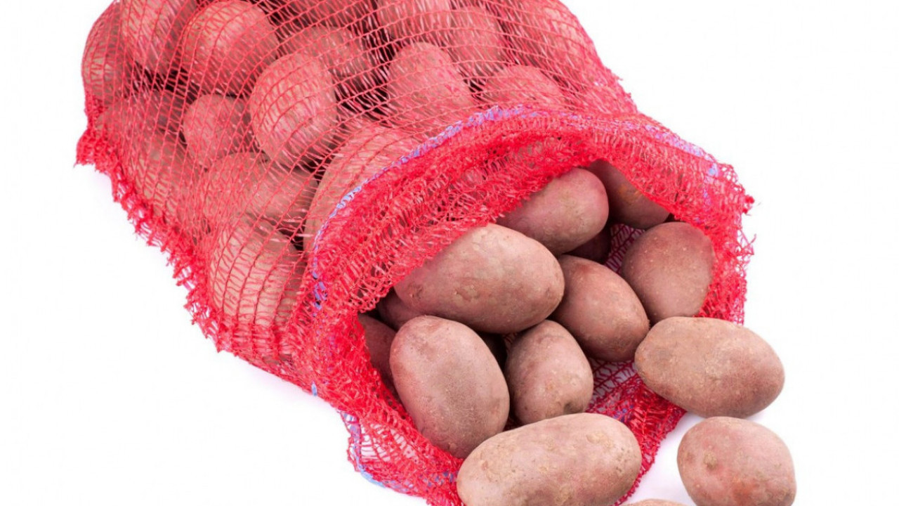 "ПОПЛАВА КРОМПИРА" Дели се бесплатно, род никад већи