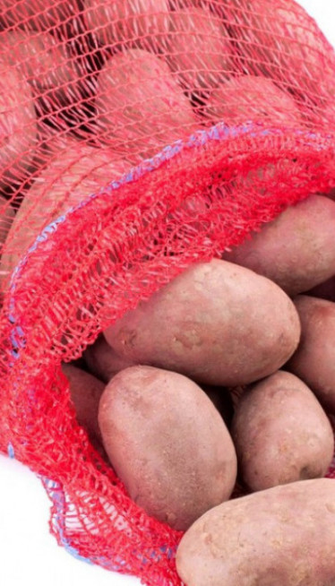 "POPLAVA KROMPIRA" Deli se besplatno, rod nikad veći