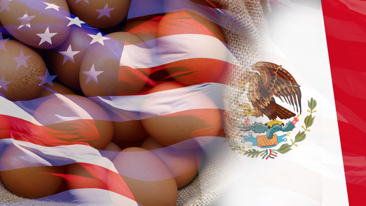 Јаја су у Америци постала толико скупа да их КРИЈУМЧАРЕ