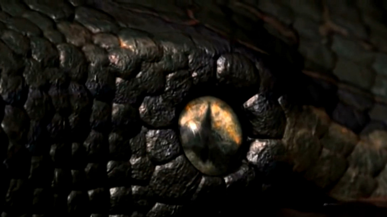 NAJVEĆA ZMIJA IKADA: Upoznajte Titanobou