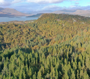 Опасне звери све ближе градовима, Крагујевчани у СТРАХУ