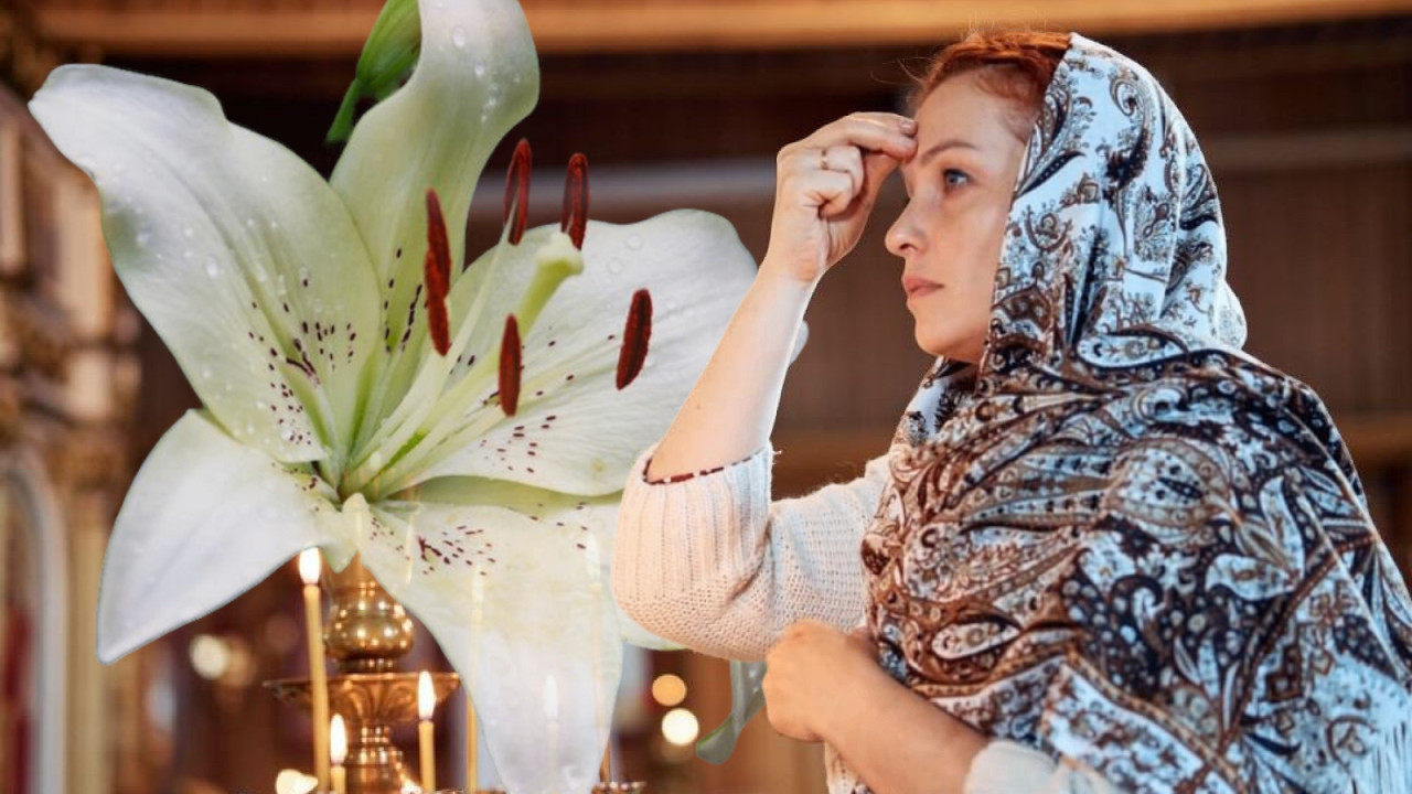 ИСУСОВЕ СУЗЕ Овај цвет обавезно унесите у кућу на Благовести