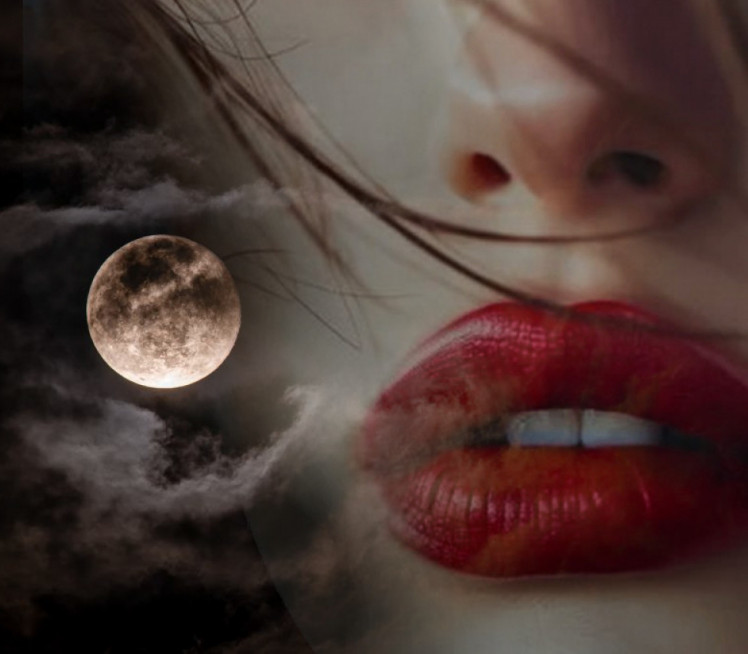 SUDBONOSNI SUSRET 4 znaka u novembru će sresti "srodnu dušu"