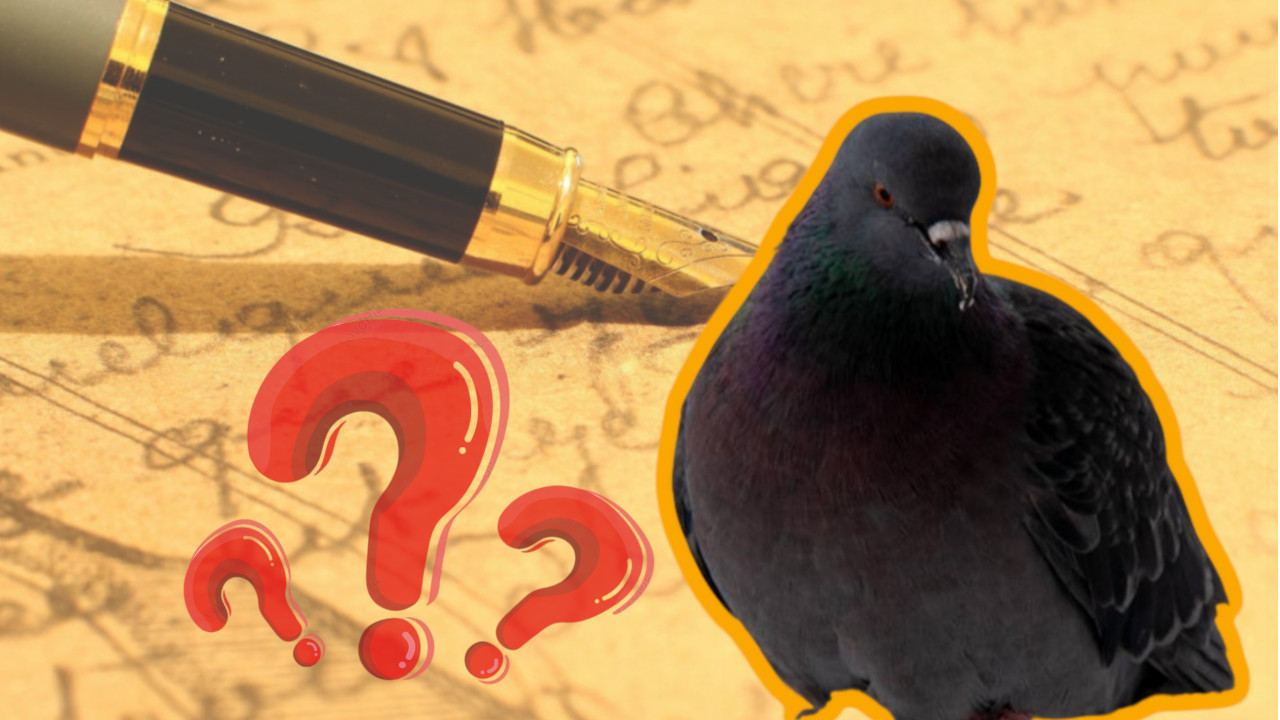 MNOGI SE IZNENADE: Kako golub pismonoša zna put do kuće?