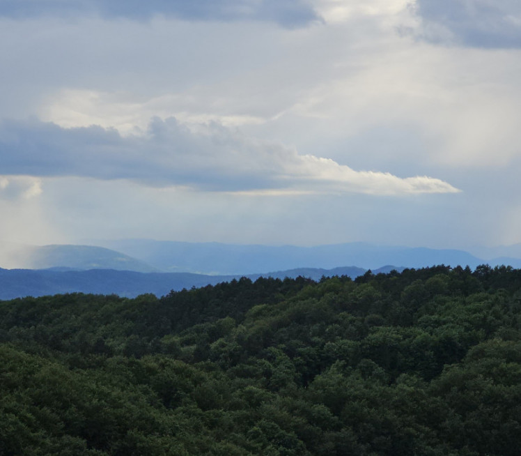 SVEŽE JUTRO, PA SUNČAN DAN Evo kakvo nas vreme očekuje danas