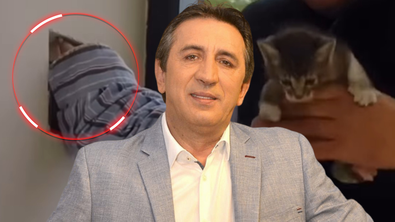 ЖИКА СПАСИО МАЧИЋЕ: Извукао их из зида-за длаку избегли смрт