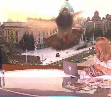 NEZVAN GOST: Uleteo u jutarnji TV Prva - uneo se u kameru
