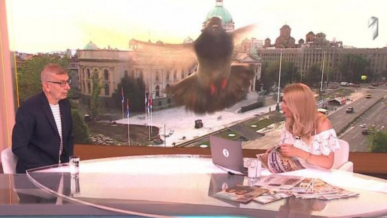 NEZVAN GOST: Uleteo u jutarnji TV Prva - uneo se u kameru