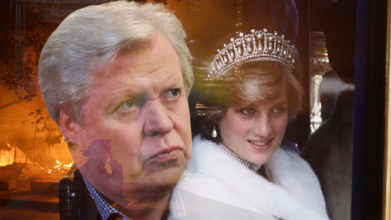 ПОЖАР НАМЕРНО ПОДМЕТНУТ? Гори имање где је сахрањена Дајана