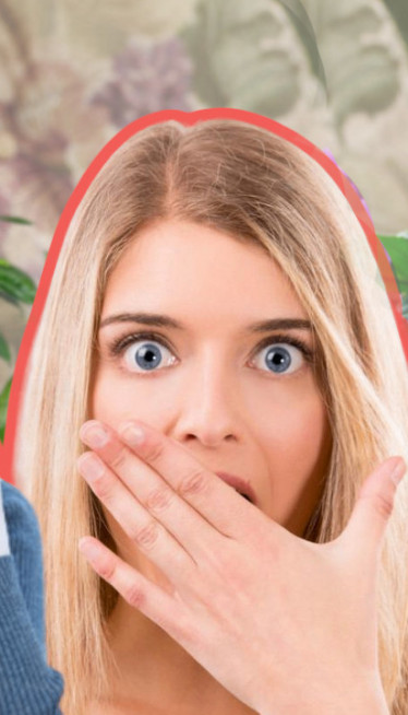 УНОСИ НЕСРЕЋУ И ТУГУ У ДОМ: Ову биљку не треба држати у кући