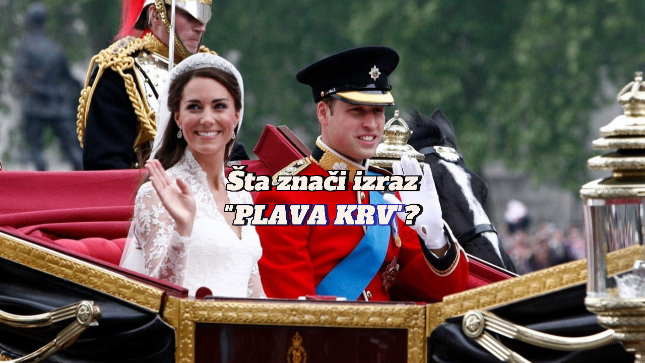 ЗАШТО СЕ КАЖЕ “ПЛАВА КРВ”: Како и где је настао овај израз?