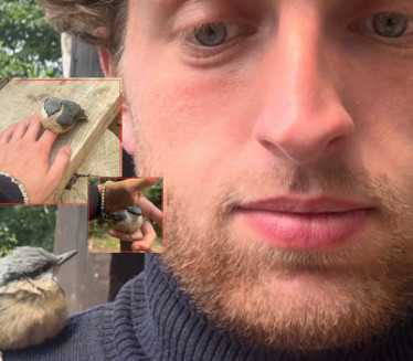 GLEBU PTICA ZASPALA U RUCI: "Ceo dan se ne pomera od mene"