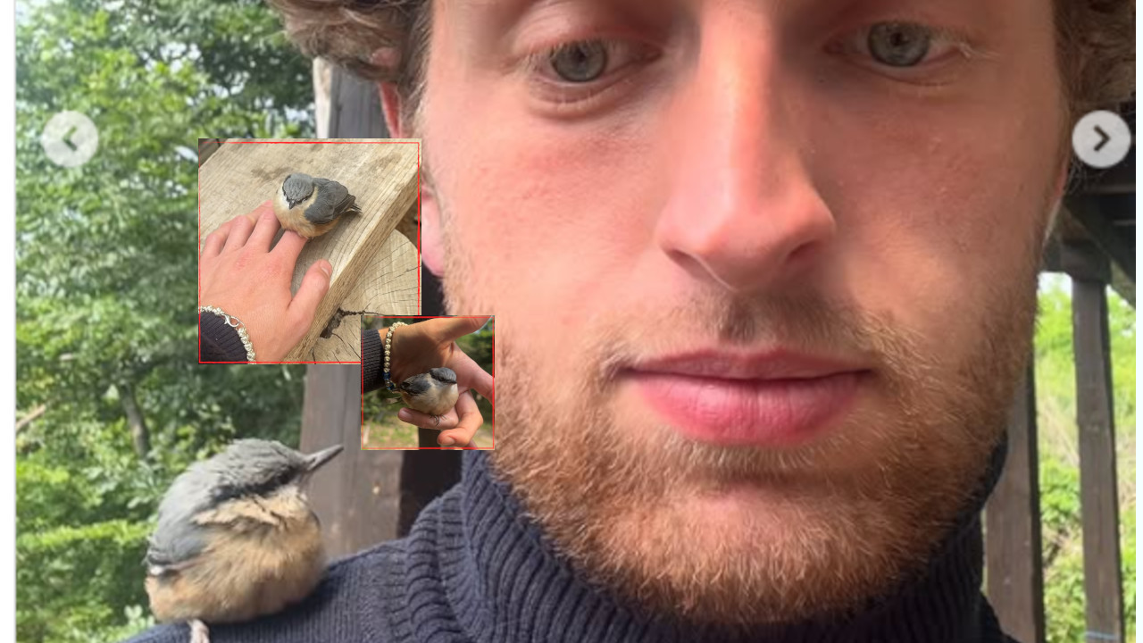 GLEBU PTICA ZASPALA U RUCI: "Ceo dan se ne pomera od mene"