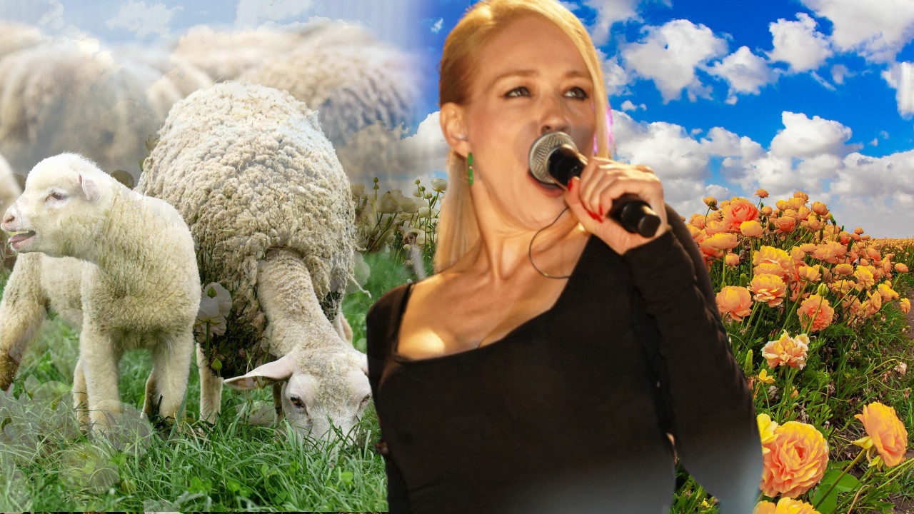 ТО НИЈЕ СРАМОТА: "Чувала сам овце када сам била мала"