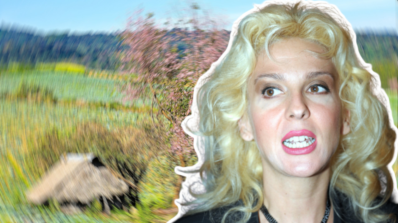 BATALILA GLUMU I OTIŠLA NA SELO: Kako izgleda Ivanin život?