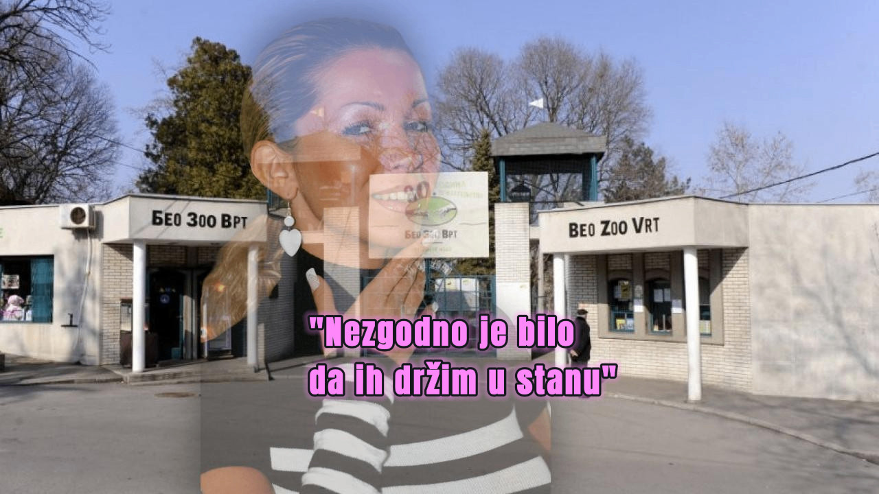 NEZGODNO DA SU U KUĆI: Karleuša odnela 2 životinje u ZOO vrt