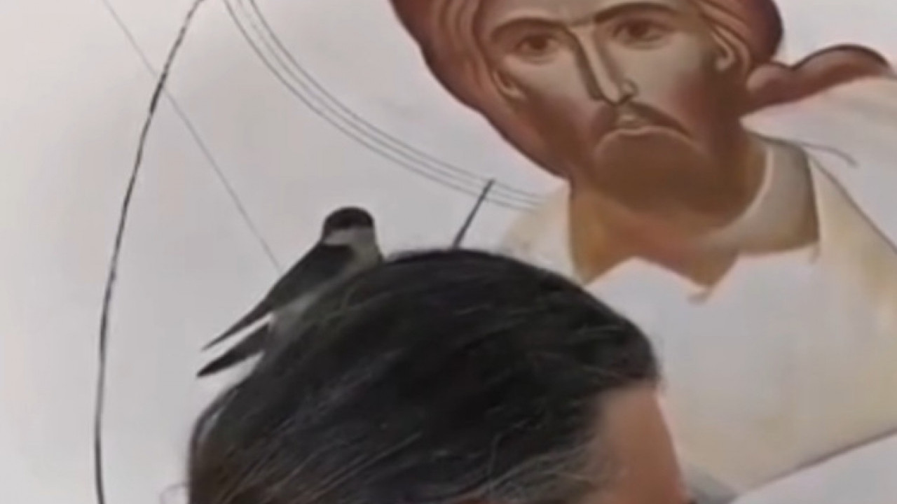 ЧУДО У СРПСКОЈ СВЕТИЊИ: Видите шта је урадила ласта