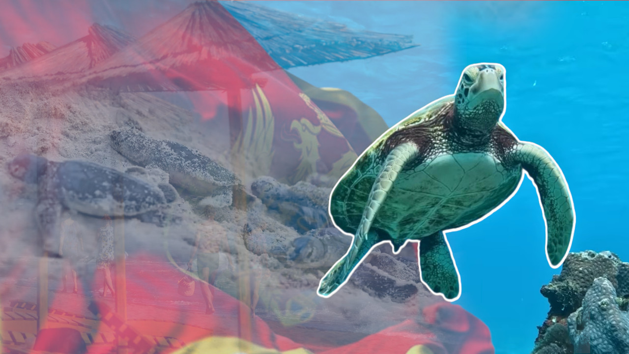 OTKRIĆE U C. GORI: Turiste mole da ne prilaze ovom području