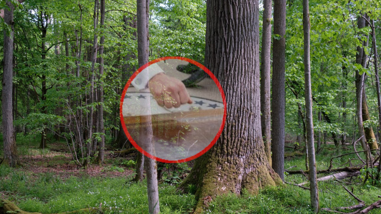 Како је настала изрека "да куцнем у дрво"?