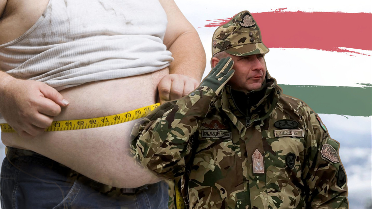 ЛИПОСУКЦИЈА О ТРОШКУ ДРЖАВЕ Први човек војске исисавао сало?