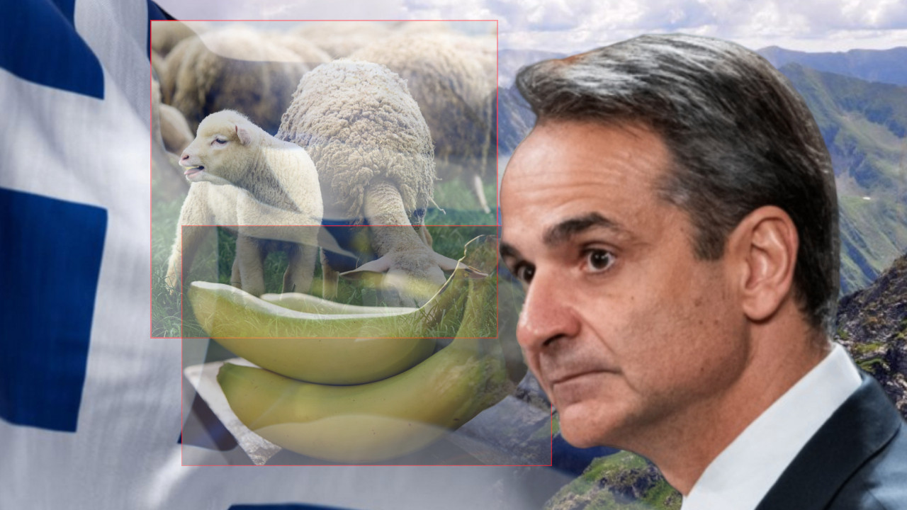 ПЛАНТАЖЕ БАНАНА НА ОЛИМПУ: Грчка проневерила субвенције ЕУ?