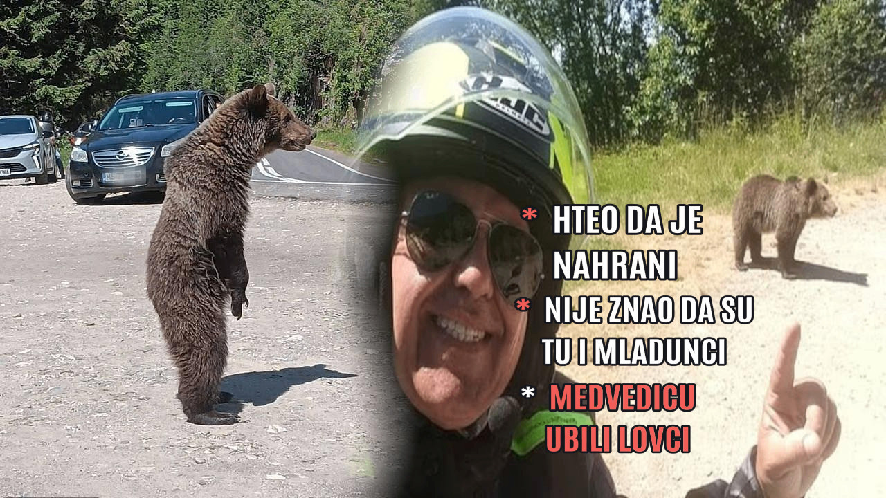 HOROR U KOMŠILUKU Snimio svoju smrt - ubila ga medvedica