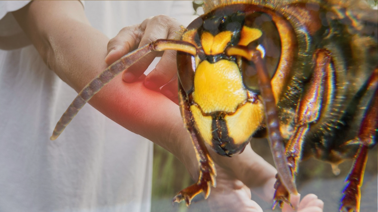 ŠTA AKO VAS UBODE STRŠLJEN: Postupak koji može spasiti život